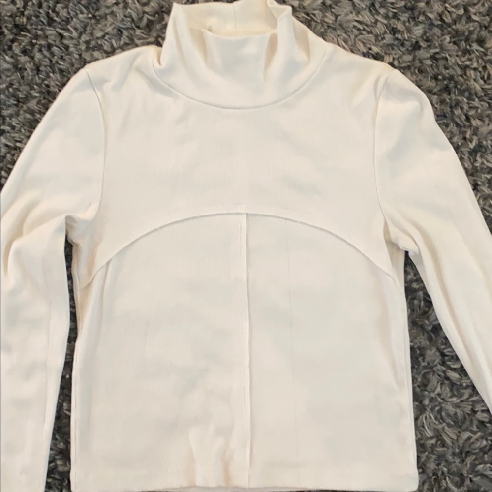 Aritzia cropped turtle neck